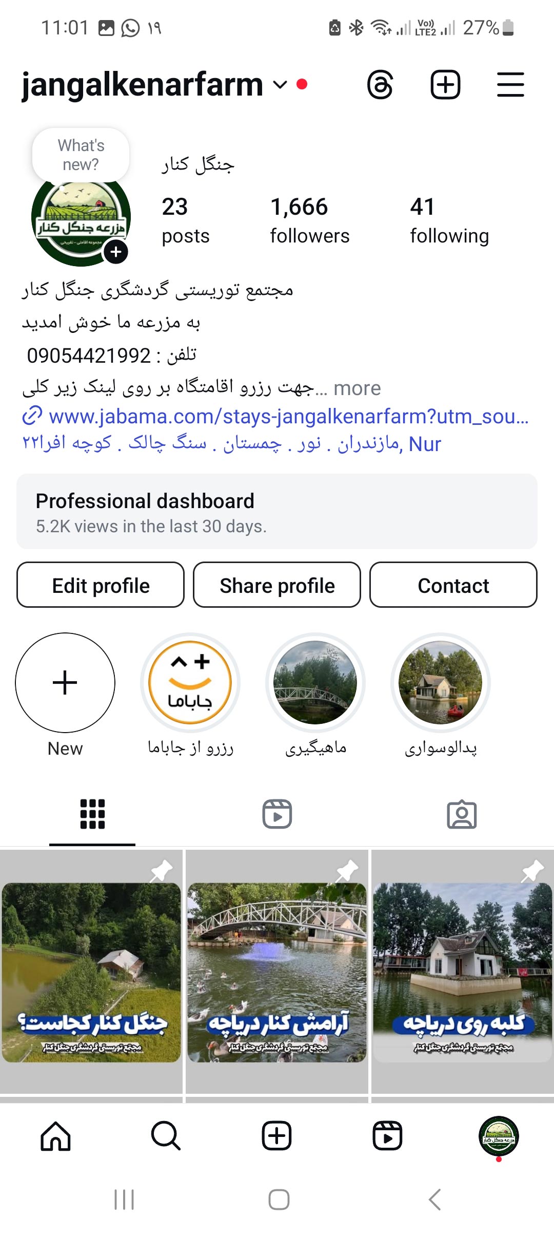 پیج چنگل کنار